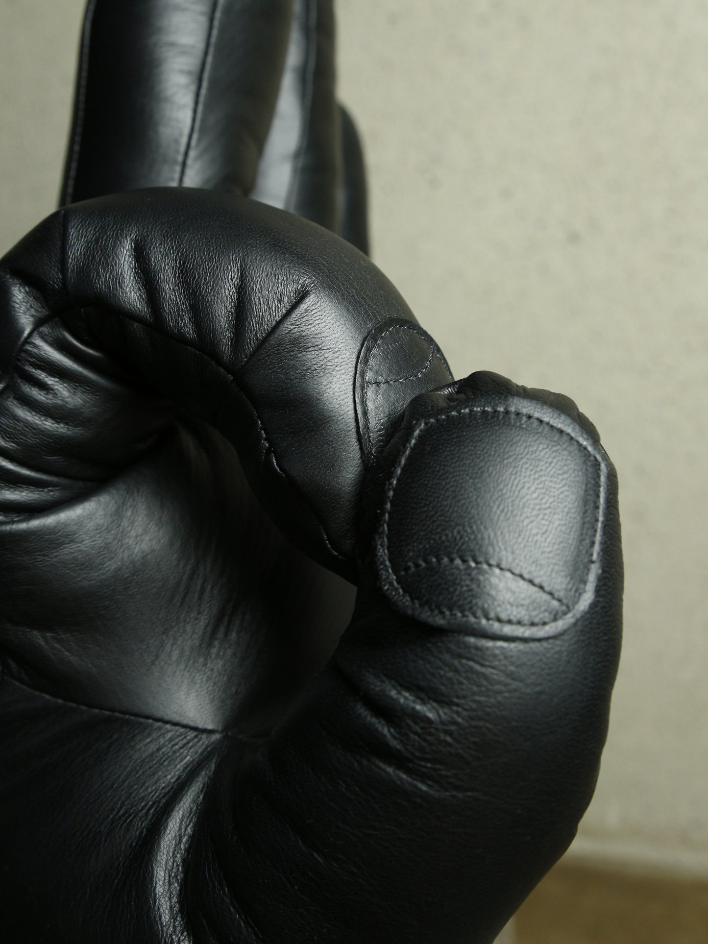 HEALTH × O- 　UDEMAKURA   - Gods Arm Pillow -　Left