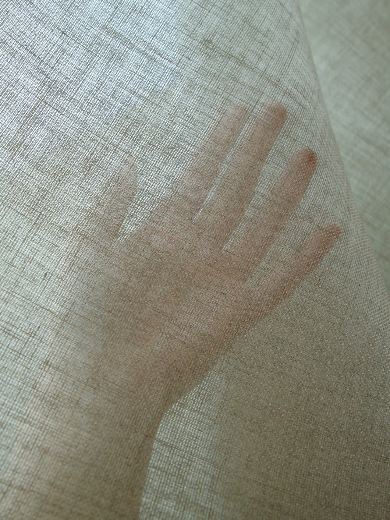 2000's JAPAN Linen Plain Weave Interior Fabric